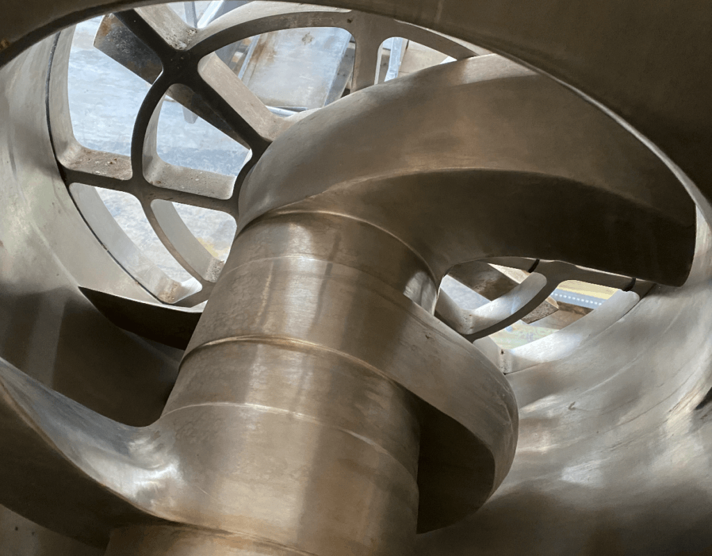 Screen Shot 2022-01-18 at 12.54.58 PM